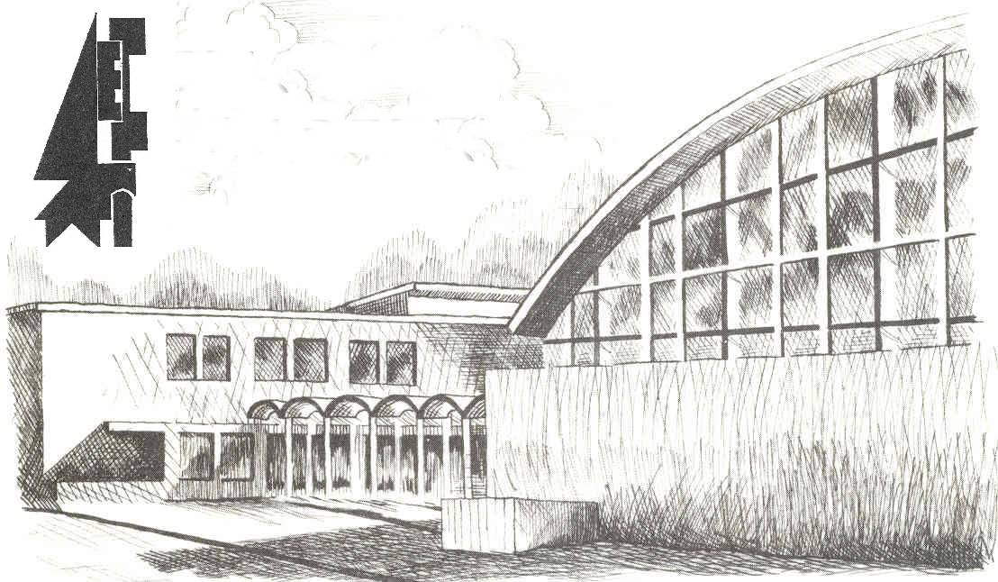 Edsel ford high school michigan #5