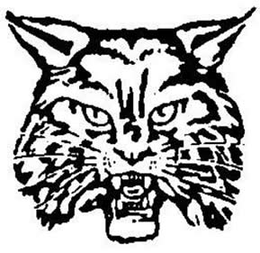 wildcat wildcats clipart school logo kentucky football newark whittier drawing clip outline cliparts blue dillon fletcher paws 1980 silhouette johnsburg
